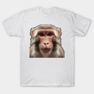 Serious monkey T-Shirt